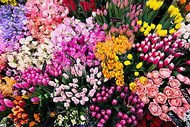 《马里奥激战前锋》新视频展示装备定制和实机对战